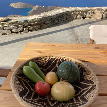 Sea View Stonehouse Batsi (Andros)