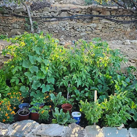 ホームステイ Sea View Stonehouse